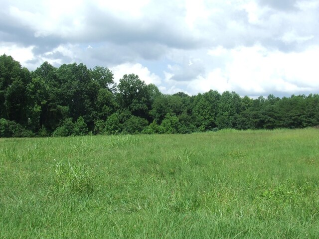 1867 Shellsford Rd, Mcminnville, TN 37110 - photo 10