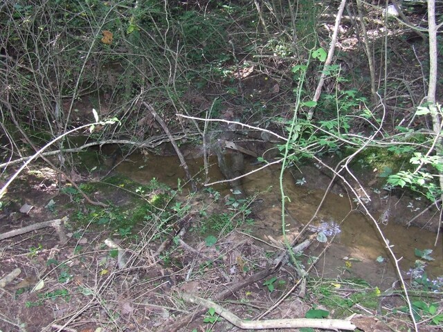 1867 Shellsford Rd, Mcminnville, TN 37110 - photo 13