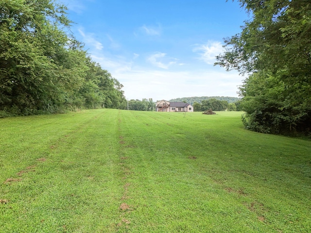 28 Henderson Rd, Lynchburg, TN 37352 - photo 35