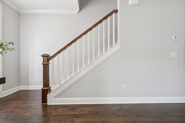 2338 Clare Park Dr, Franklin, TN 37069 - photo 33