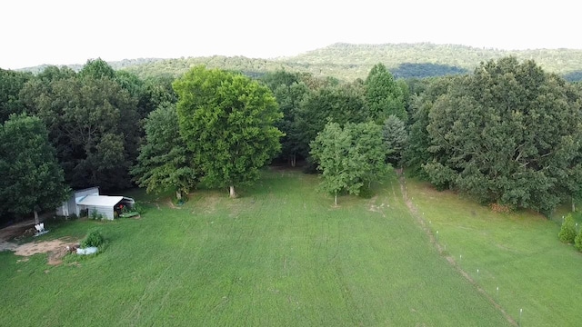 1055 Chestnut Grove Rd, Morrison, TN 37357 - photo 34