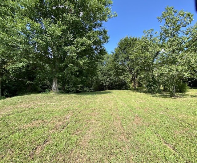 1055 Chestnut Grove Rd, Morrison, TN 37357 - photo 22