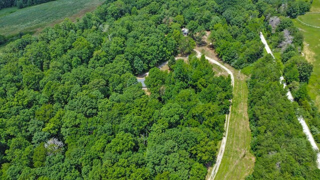3673 Summer City Rd, Pikeville, TN 37367 - photo 12