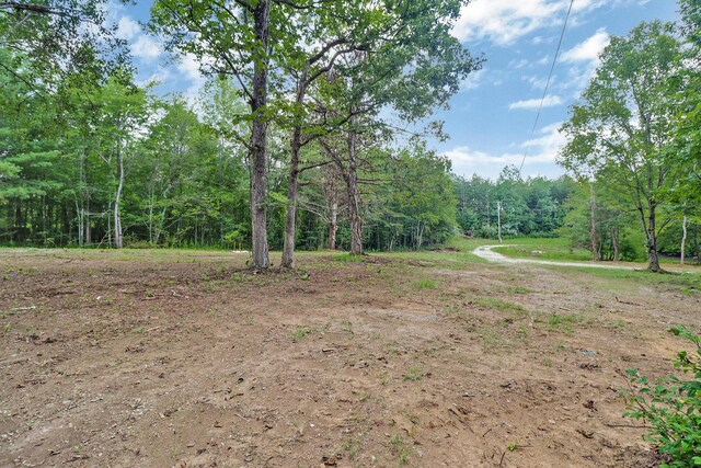 3673 Summer City Rd, Pikeville, TN 37367 - photo 4