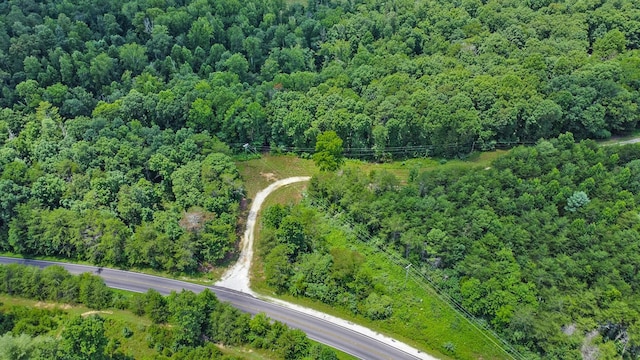 3673 Summer City Rd, Pikeville, TN 37367 - photo 10
