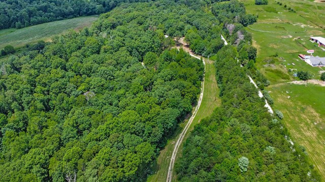 3673 Summer City Rd, Pikeville, TN 37367 - photo 3