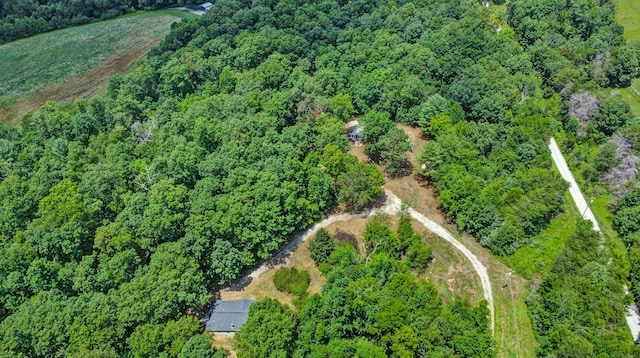 3673 Summer City Rd, Pikeville, TN 37367 - photo 13