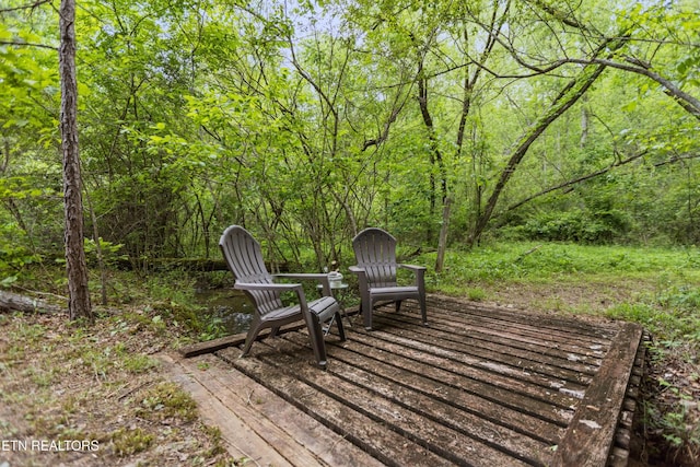 1563 Oren White Rd, Lenoir City, TN 37771 - photo 48