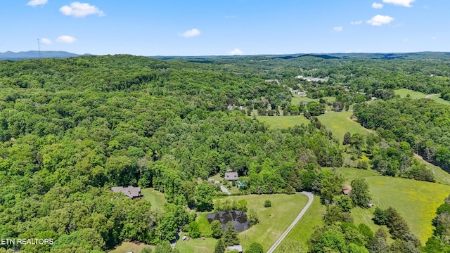 1563 Oren White Rd, Lenoir City, TN 37771 - photo 53