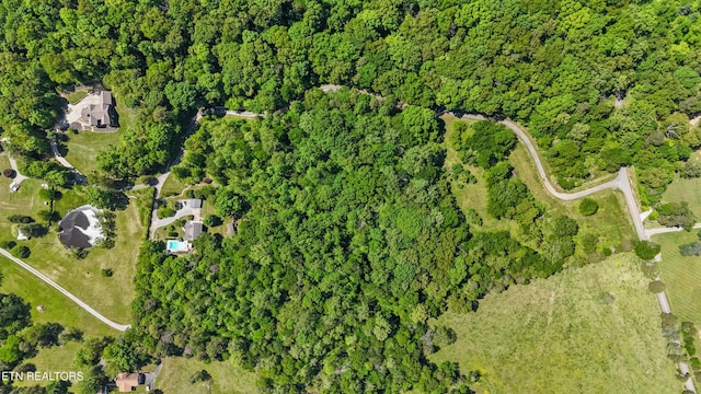 1563 Oren White Rd, Lenoir City, TN 37771 - photo 51