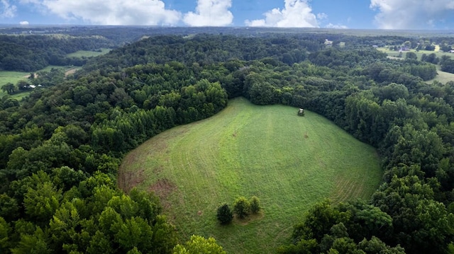 414 Davis Hill Rd, Minor Hill, TN 38473 - photo 63