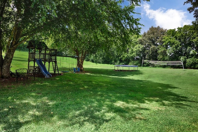 414 Davis Hill Rd, Minor Hill, TN 38473 - photo 53