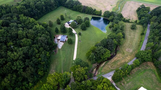 414 Davis Hill Rd, Minor Hill, TN 38473 - photo 59