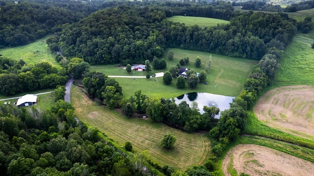414 Davis Hill Rd, Minor Hill, TN 38473 - photo 60