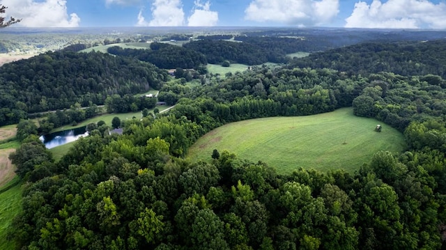 414 Davis Hill Rd, Minor Hill, TN 38473 - photo 62