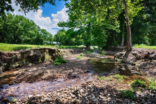 414 Davis Hill Rd, Minor Hill, TN 38473 - photo 56