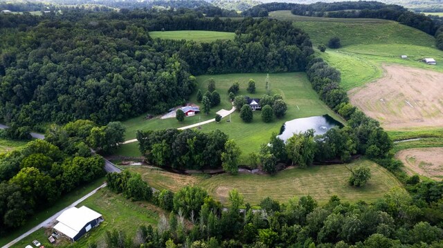414 Davis Hill Rd, Minor Hill, TN 38473 - photo 61