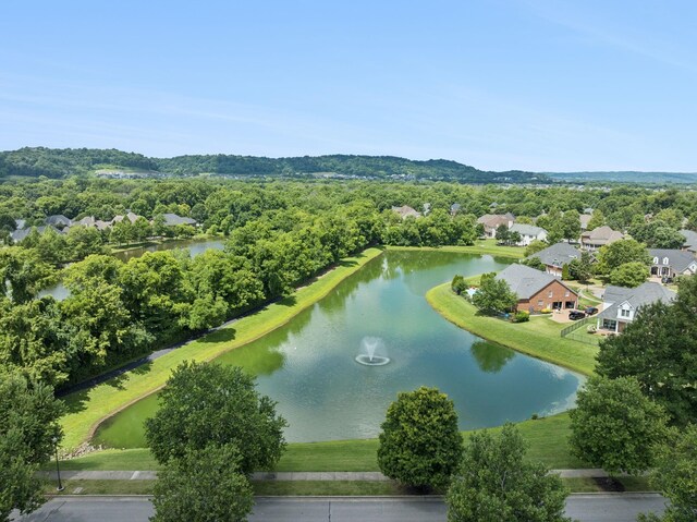 835 Willowsprings Blvd, Franklin, TN 37064 - photo 60