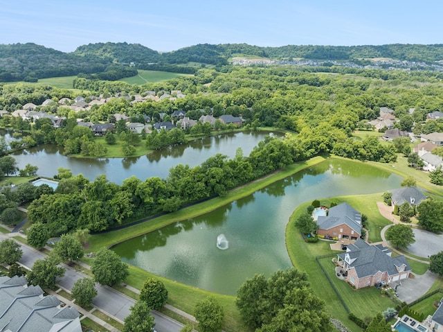 835 Willowsprings Blvd, Franklin, TN 37064 - photo 61