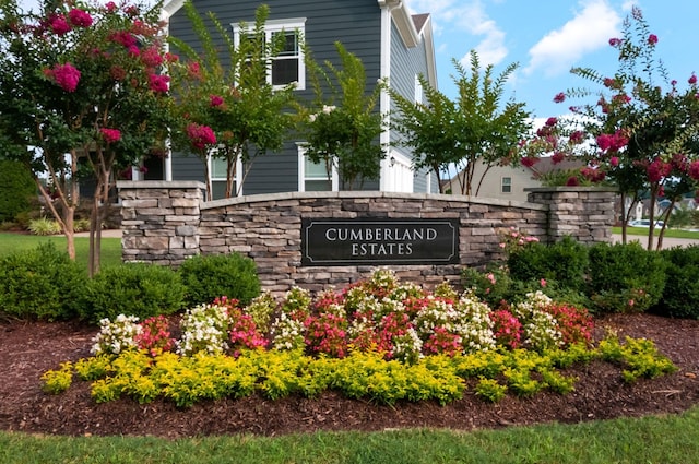 1010 Brayden Dr, Fairview, TN 37062 - photo 2
