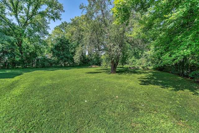 108 Crestview Dr, La Vergne, TN 37086 - photo 30