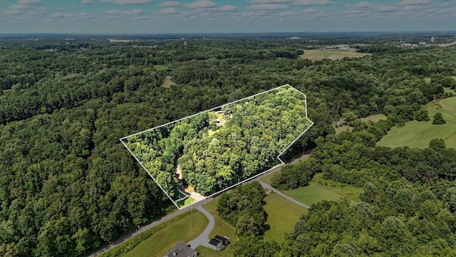 1310 Turkey Creek Rd, Dickson, TN 37055 - photo 3