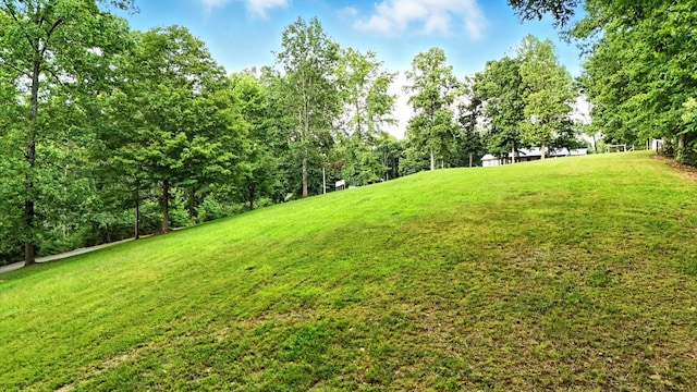 1310 Turkey Creek Rd, Dickson, TN 37055 - photo 74