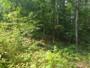 1346 Elliot Rd, Nunnelly, TN 37137 - photo 2
