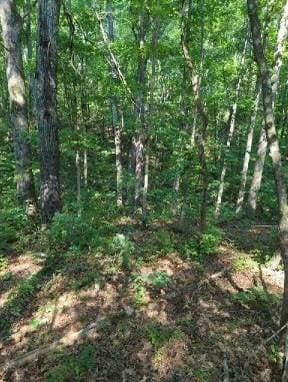1346 Elliot Rd, Nunnelly, TN 37137 - photo 5