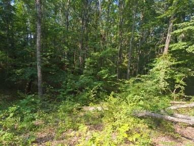 1346 Elliot Rd, Nunnelly, TN 37137 - photo 9