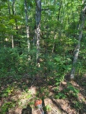 1346 Elliot Rd, Nunnelly, TN 37137 - photo 3