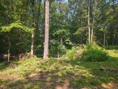 1346 Elliot Rd, Nunnelly, TN 37137 - photo 6