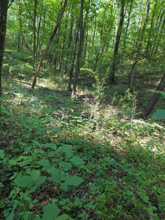 1346 Elliot Rd, Nunnelly, TN 37137 - photo 4