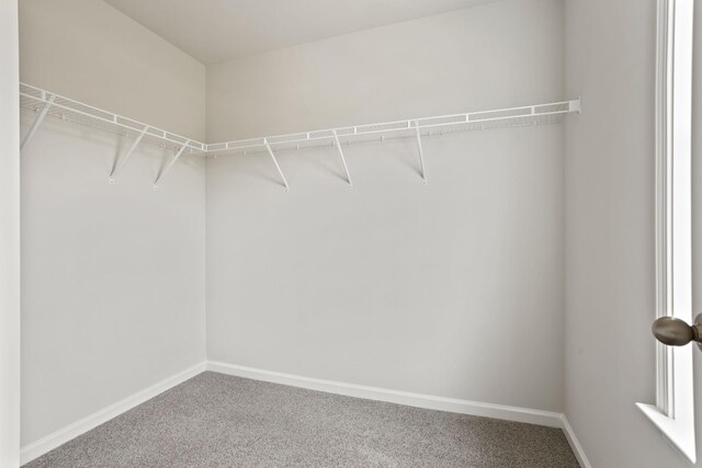 406 Blair Rd, Smyrna, TN 37167 - photo 22