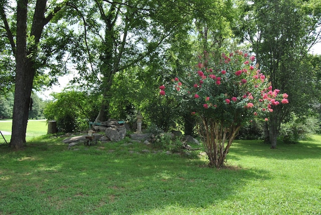 1201 Cranberry Dr, Murfreesboro, TN 37129 - photo 53