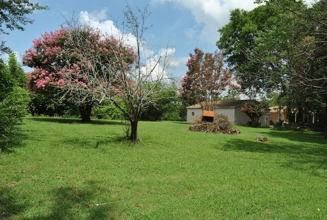 1201 Cranberry Dr, Murfreesboro, TN 37129 - photo 56