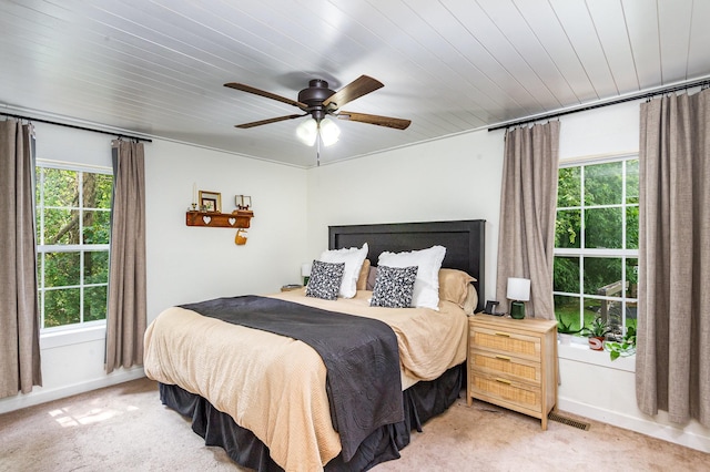2116 Old Greenbrier Pike, Greenbrier, TN 37073 - photo 9