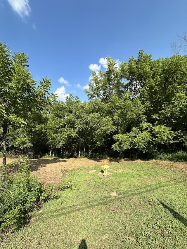 0 Rustling Oaks Ct, Pleasant View, TN 37146 - photo 2