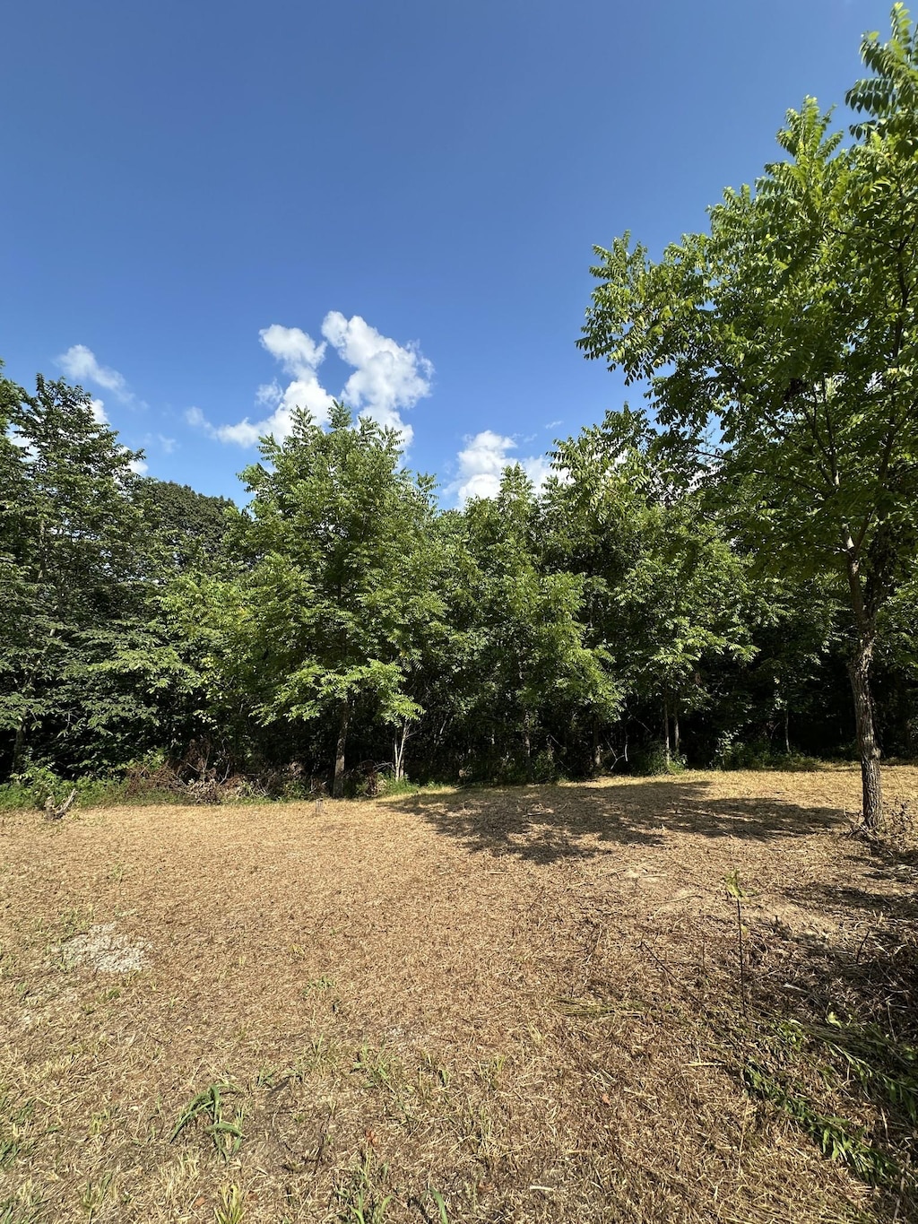 0 Rustling Oaks Ct, Pleasant View, TN 37146 - photo 1