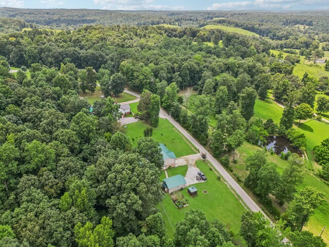 155 E Point Ln, Erin, TN 37061 - photo 40