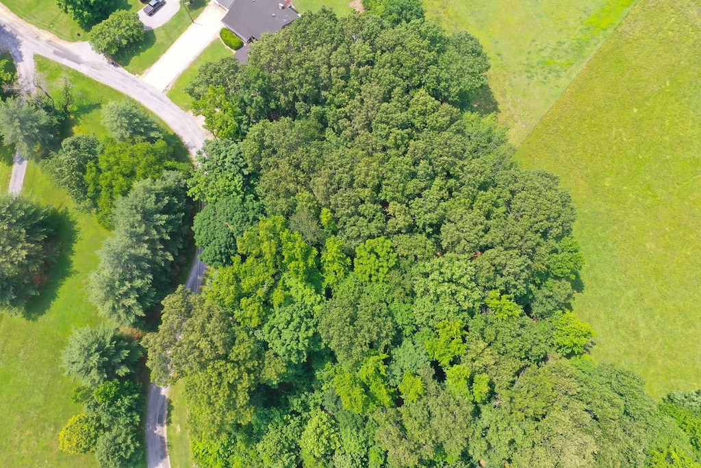 0 Major Wallace Rd, Cadiz, KY 42211 - photo 4