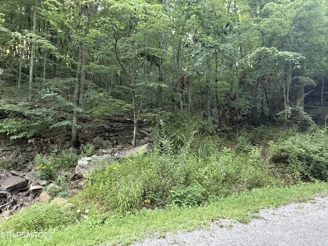 224 Dublin Ln, Crossville, TN 38558 - photo 1
