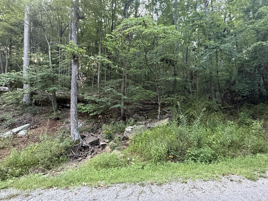 224 Dublin Ln, Crossville, TN 38558 - photo 3