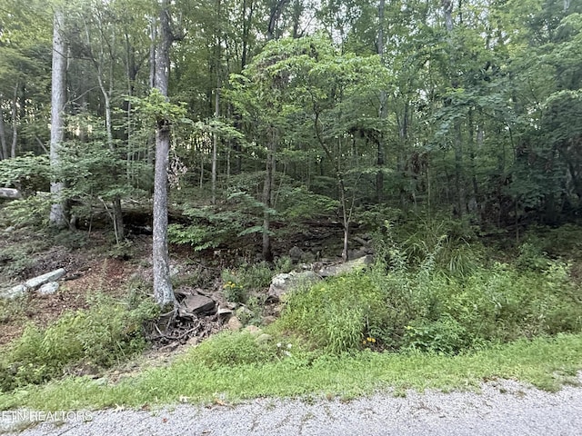 224 Dublin Ln, Crossville, TN 38558 - photo 3