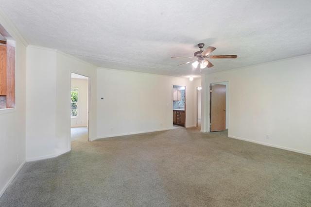 1036 Kaity Brooke Rd, Portland, TN 37148 - photo 21