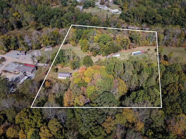 1036 Kaity Brooke Rd, Portland, TN 37148 - photo 9