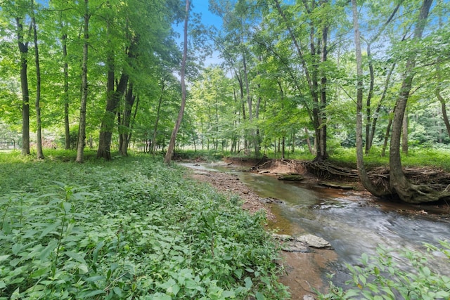1036 Kaity Brooke Rd, Portland, TN 37148 - photo 44