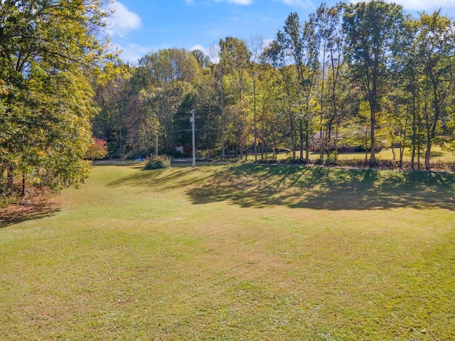 1036 Kaity Brooke Rd, Portland, TN 37148 - photo 1