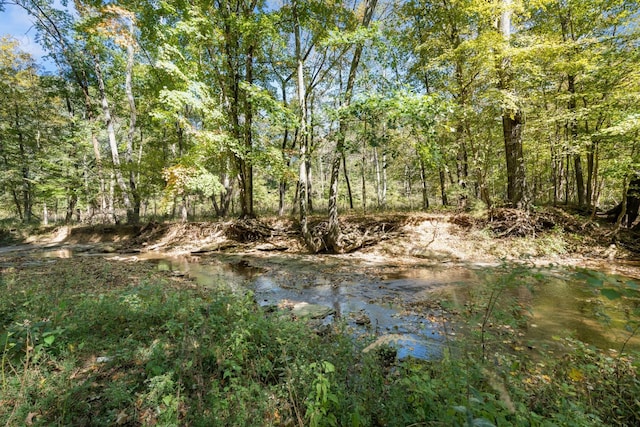 1036 Kaity Brooke Rd, Portland, TN 37148 - photo 42