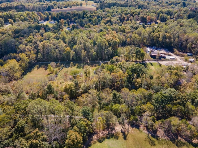 1036 Kaity Brooke Rd, Portland, TN 37148 - photo 46